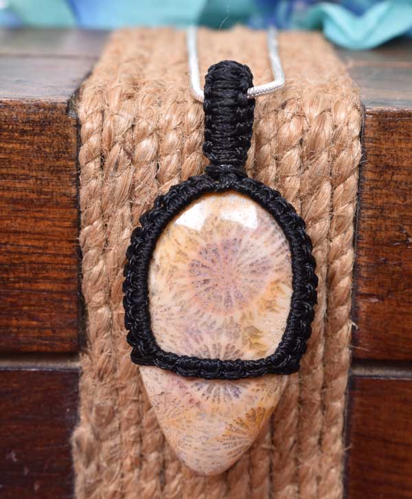 Fossil Bloom