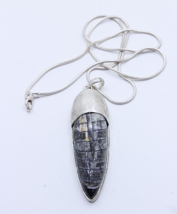 Quantum Fossil