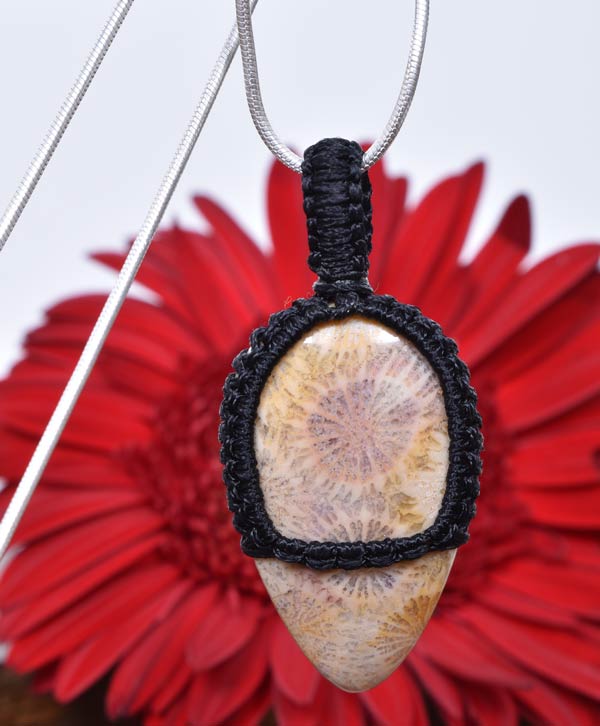 Fossil Bloom
