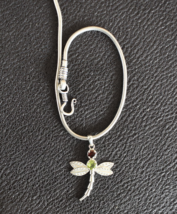 Dewdrop Dragonfly