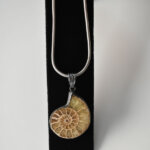 Ammonite Pendant