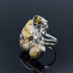Sea Treasure