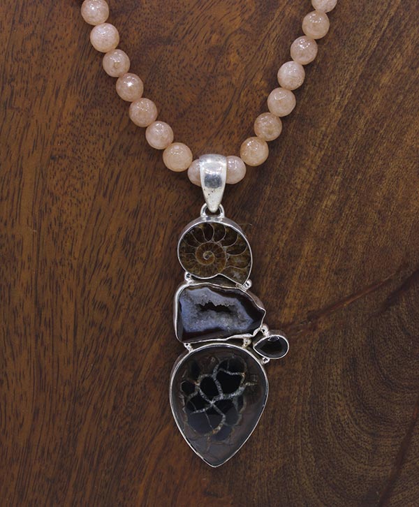 Ammonite Harmony