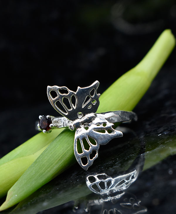 Butterfly Blush