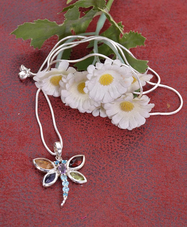 Enchanted Dragonfly