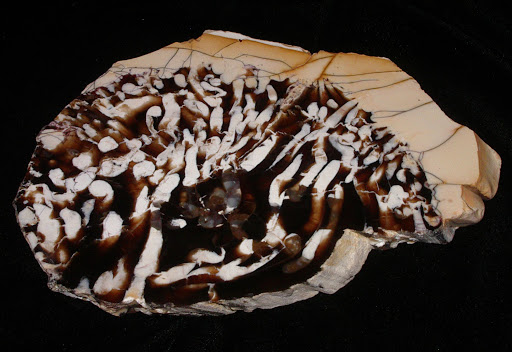 Peanut Wood
